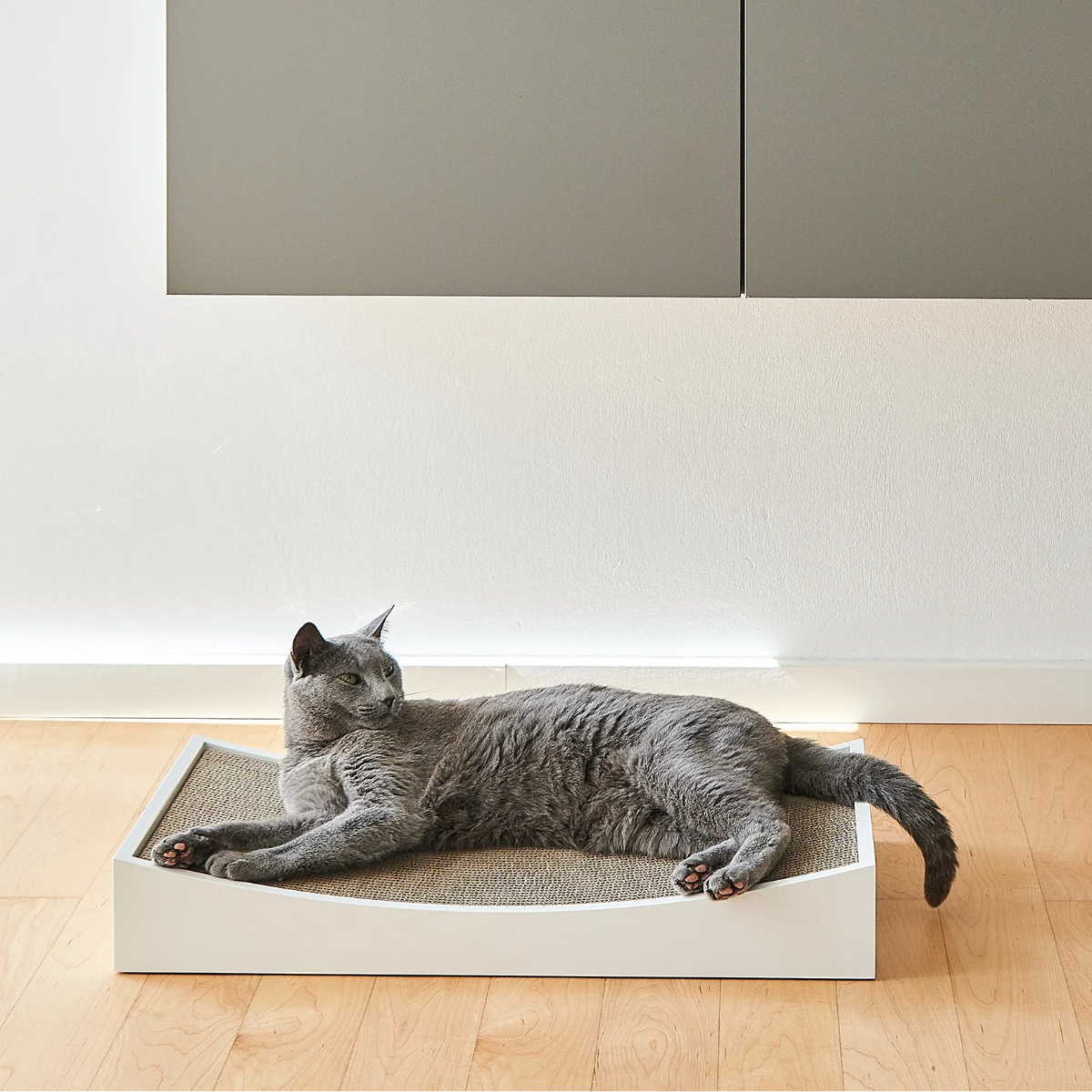 Griffoir design pour chat blanc - kasibe