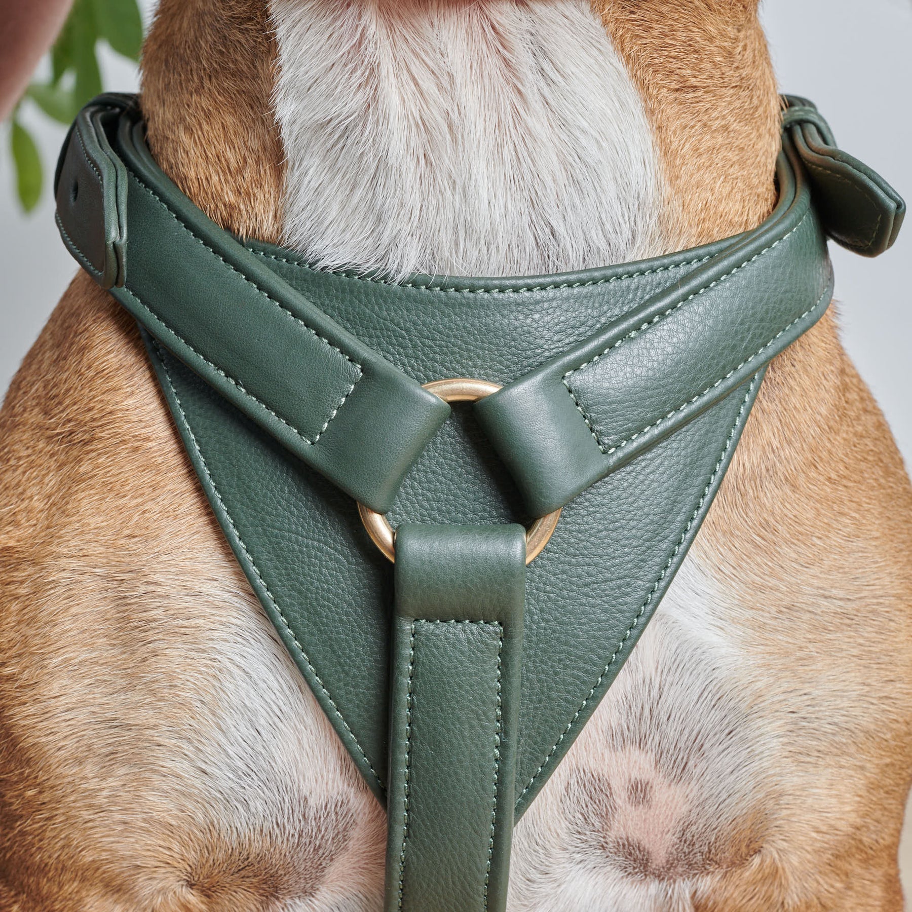 Harnais pour chien original en Y ultra confortable détail - kasibe