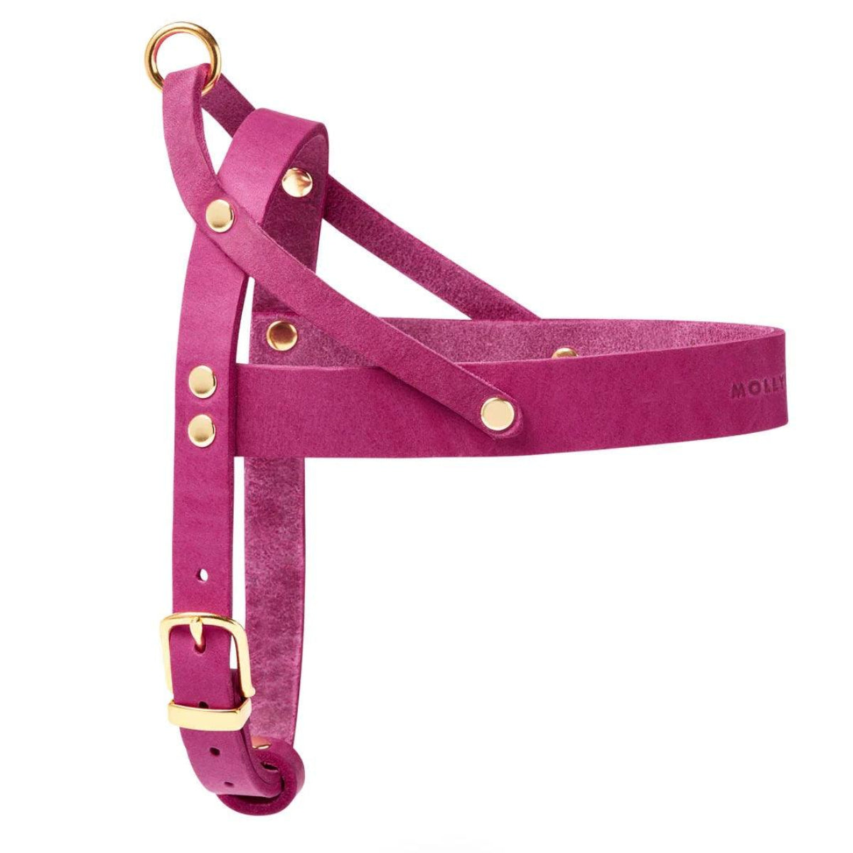 Harnais pour chien en cuir - BUTTER FLAMINGO - Kasibe