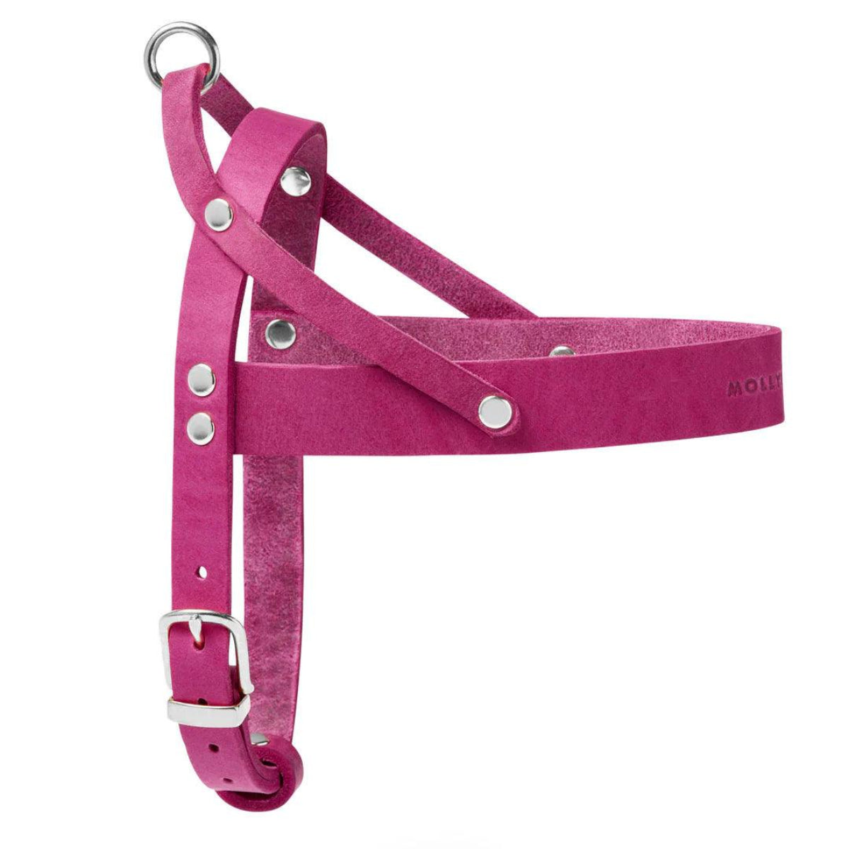 Harnais pour chien Flamingo, un cuir aux couleurs estivales boucle argent - kasibe