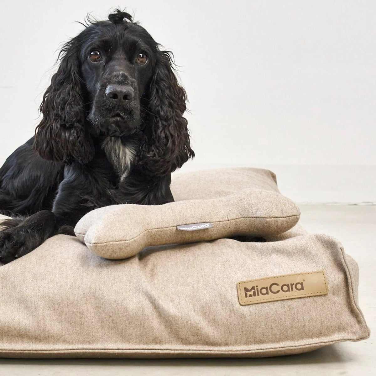 Housse de coussin pour chien en laine - CALMA - Kasibe
