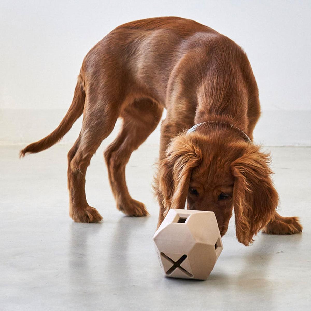 Jeu de stimulation pour chien - kasibe