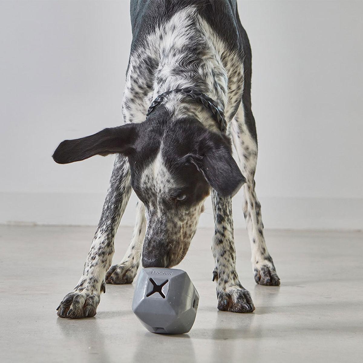 Jeu de stimulation pour chien - kasibe