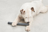 Bâton pour chien en caoutchouc Ramo, une alternative sûre au bois traditionnel (lot de 2)