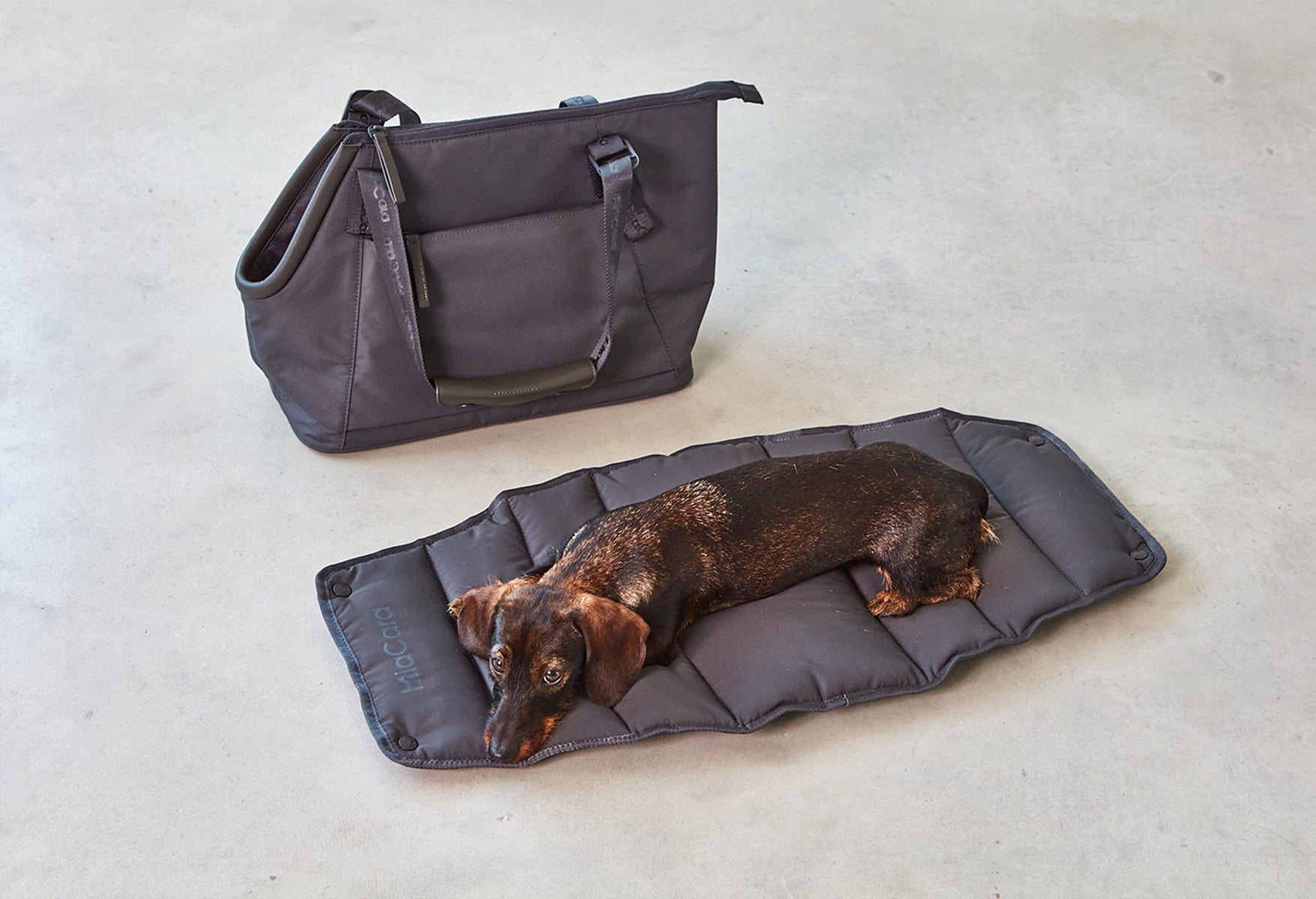 sac de transport pour chien - kasibe