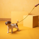 Laisse pour chien en cuir nappa aux couleurs flashy : Ferdinando - kasibe