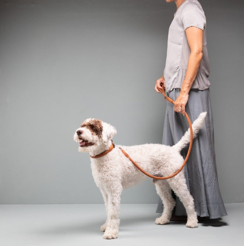 Laisse design pour chien en cuir nappa tressé : nouveau Ferdinando - Kasibe