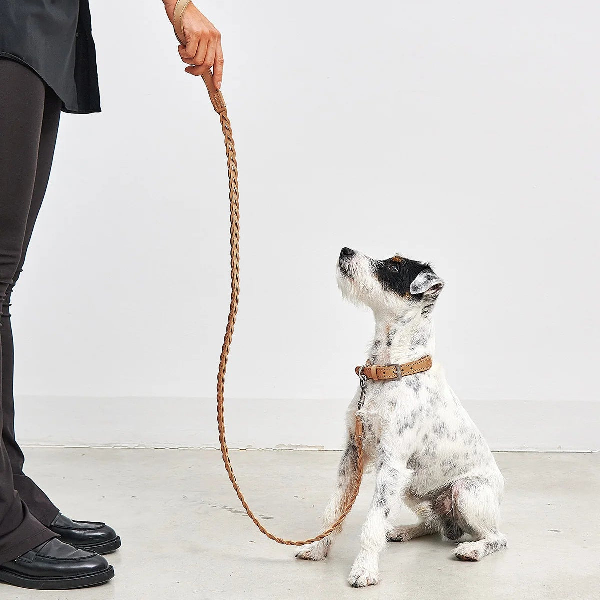 Laisse en cuir pour petit chien camel - kasibe
