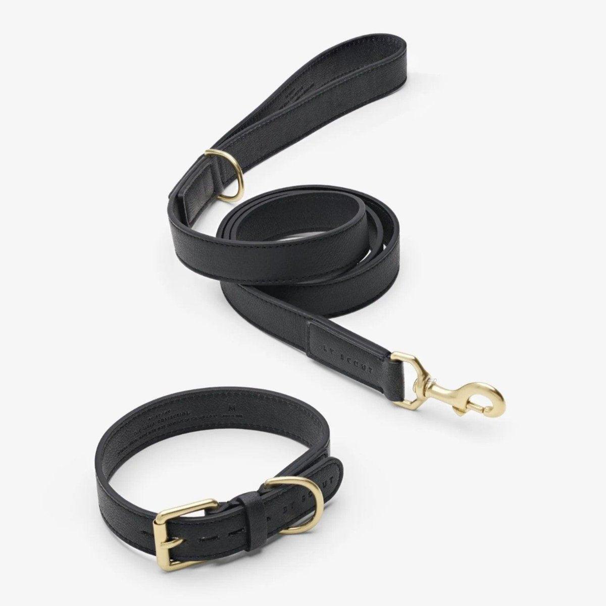 Laisse de luxe pour chien - MELA BASIC - Kasibe