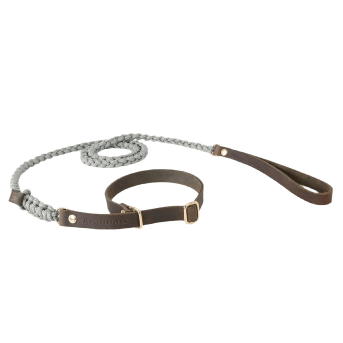 Laisse et collier pour chien deux en un - TOUCH OF LEATHER RETRIEVER - Kasibe