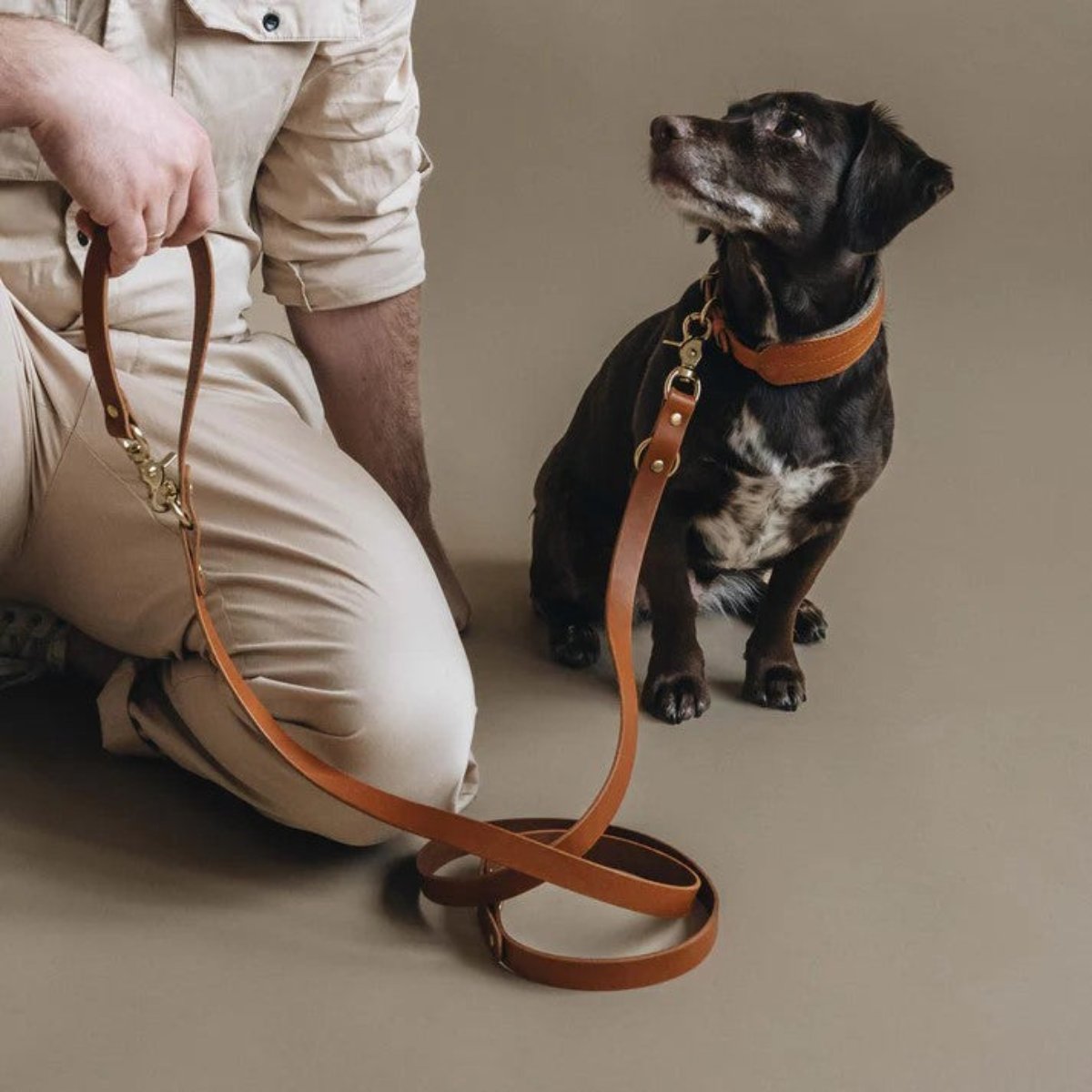 Laisse longue pour chien - LASSO - Kasibe