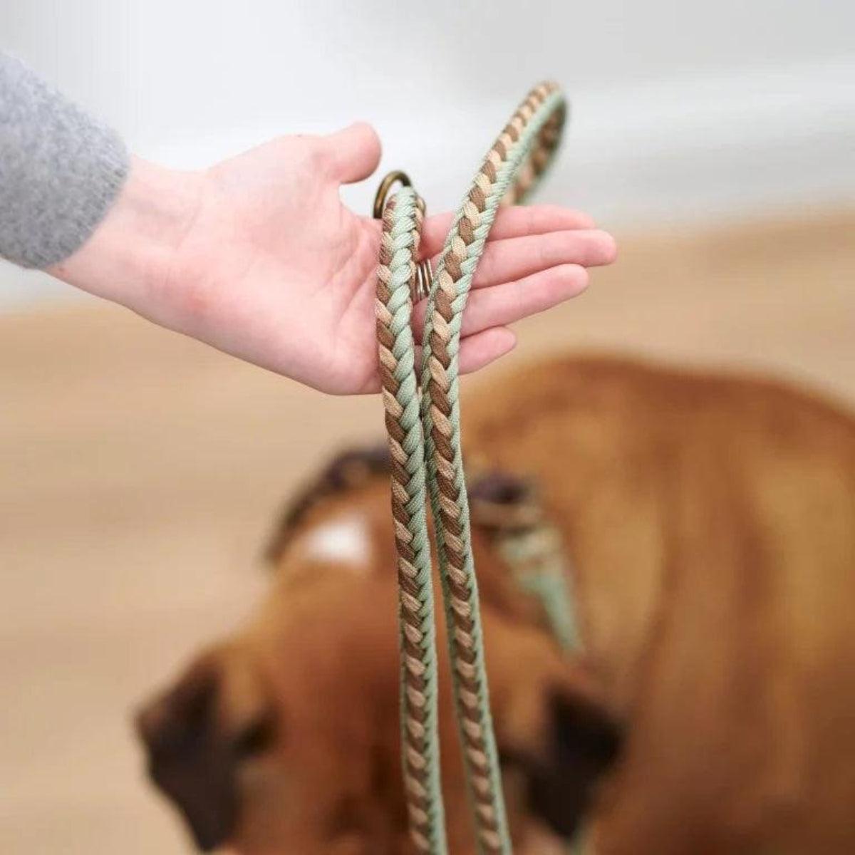 Laisse pour chien en paracorde très robuste aux accents nordiques verte - kasibe