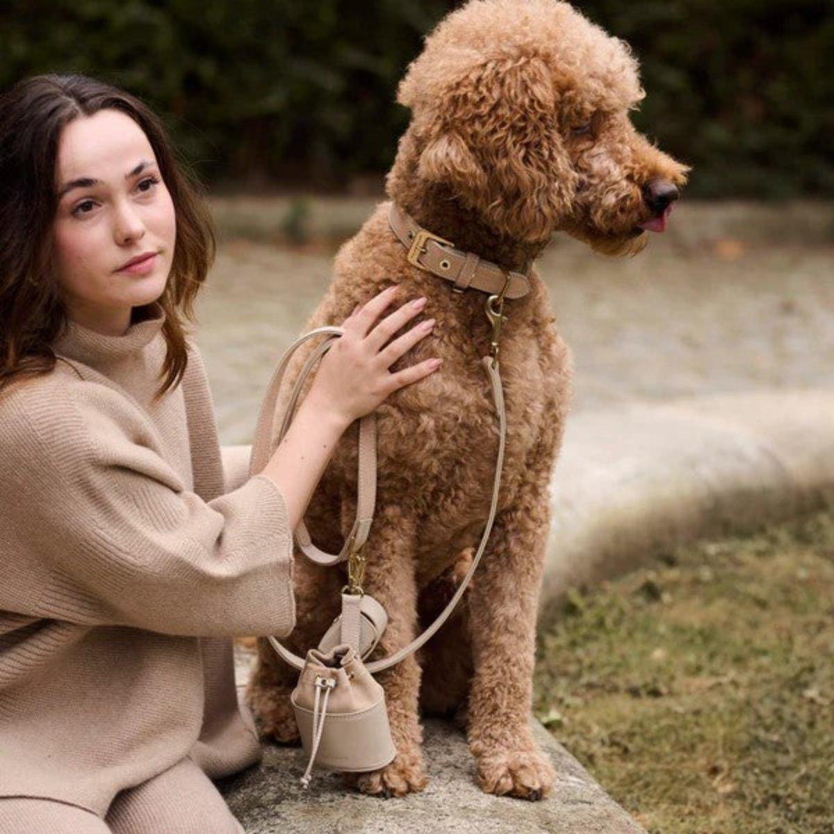 Laisse pour chien en daim - DAIM - Kasibe