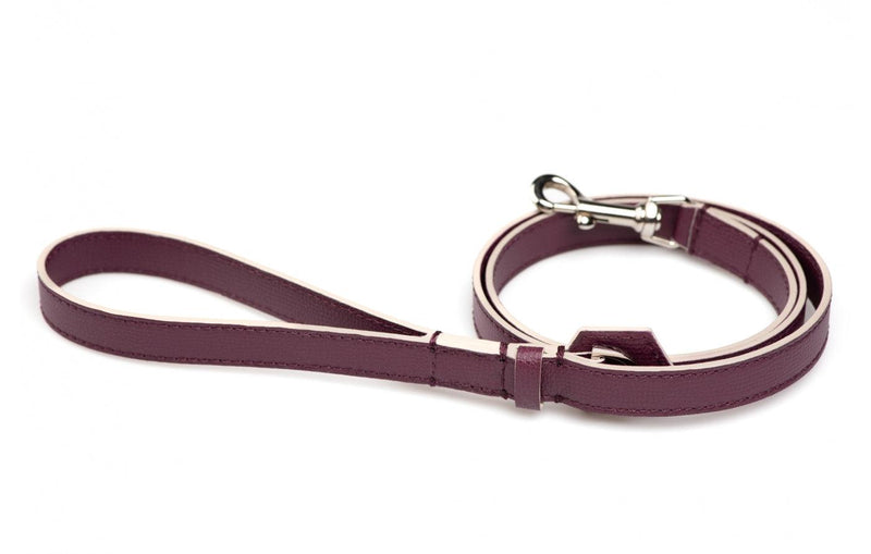 Laisse pour chien à personnaliser en cuir, la gamme René