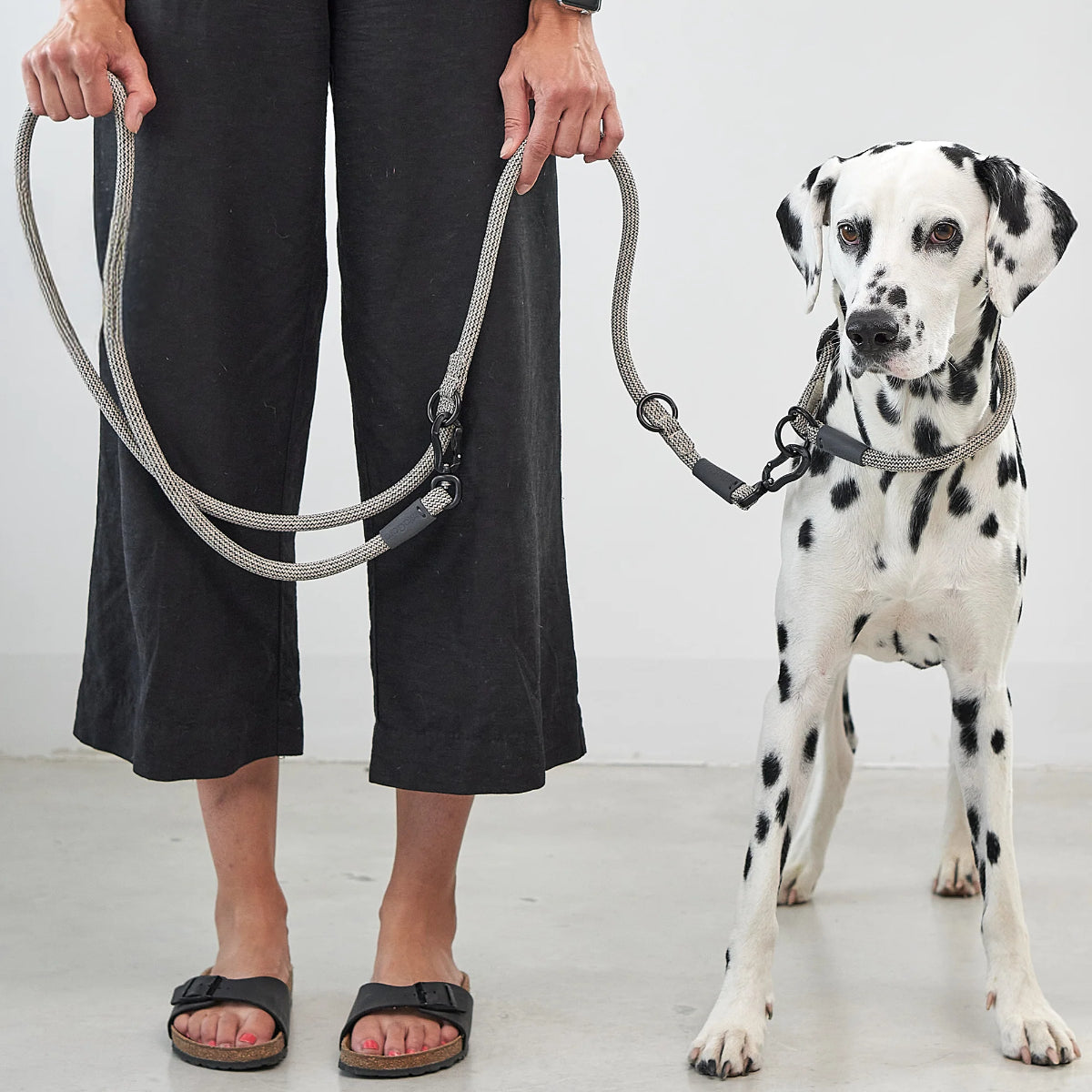 laisses réglable pour chien - kasibe