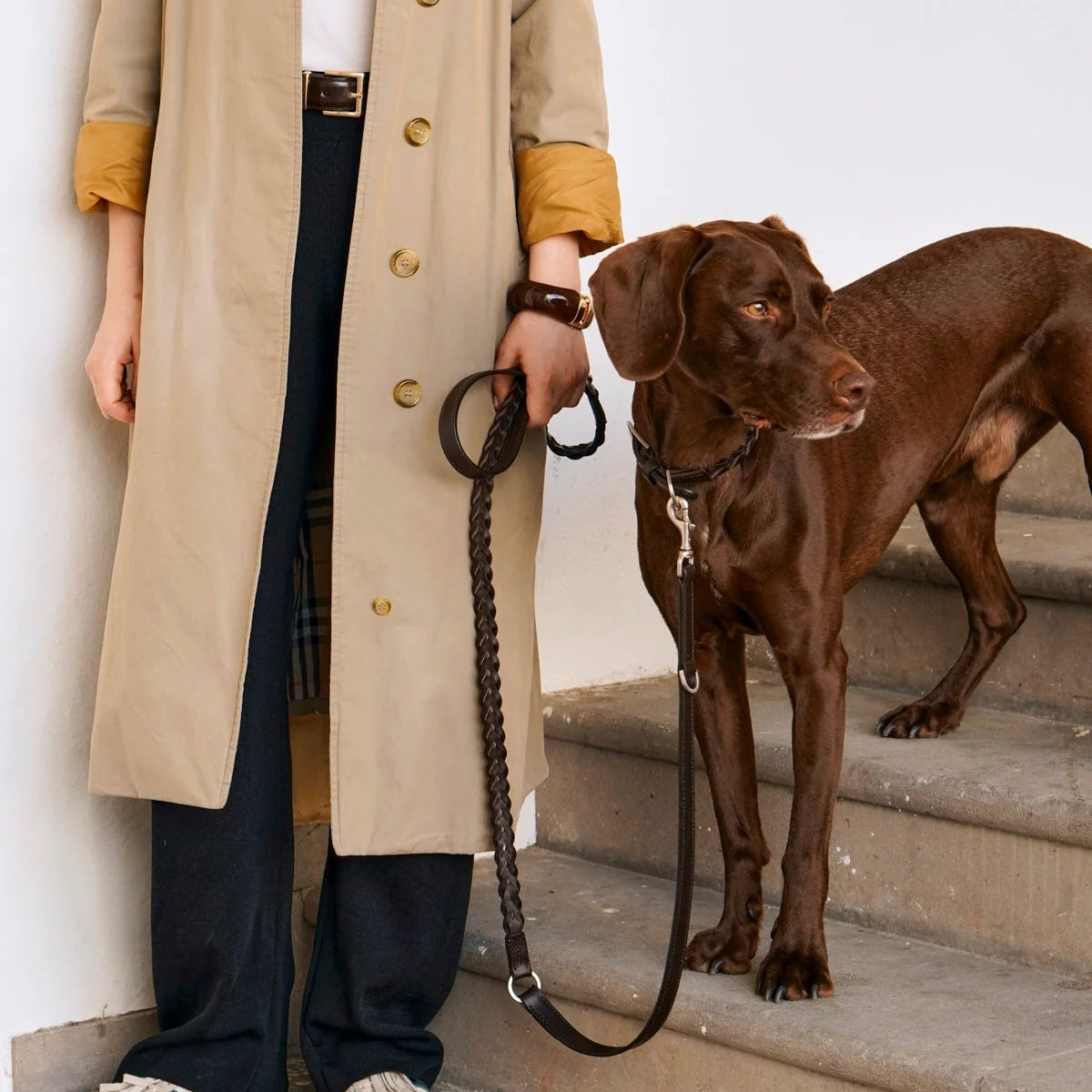Laisse longue en cuir pour chien chocolat - kasibe