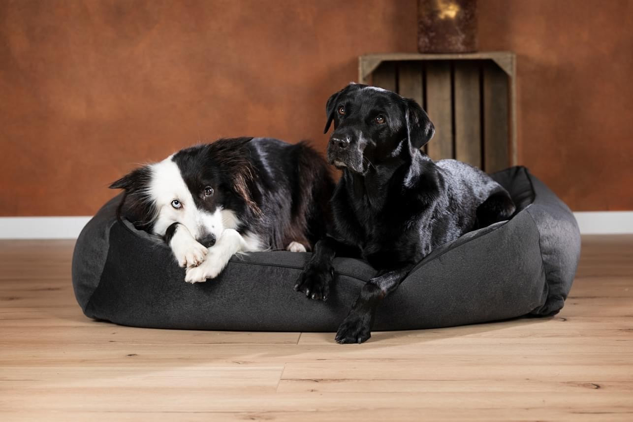 Buffalo, un lit pour chien design au tissu très doux gris - kasibe