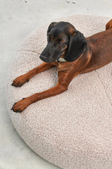 Senso, un lit de luxe pour votre chien - kasibe