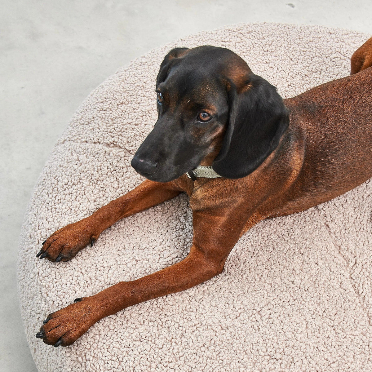 Lit de luxe pour chien - SENSO - Kasibe