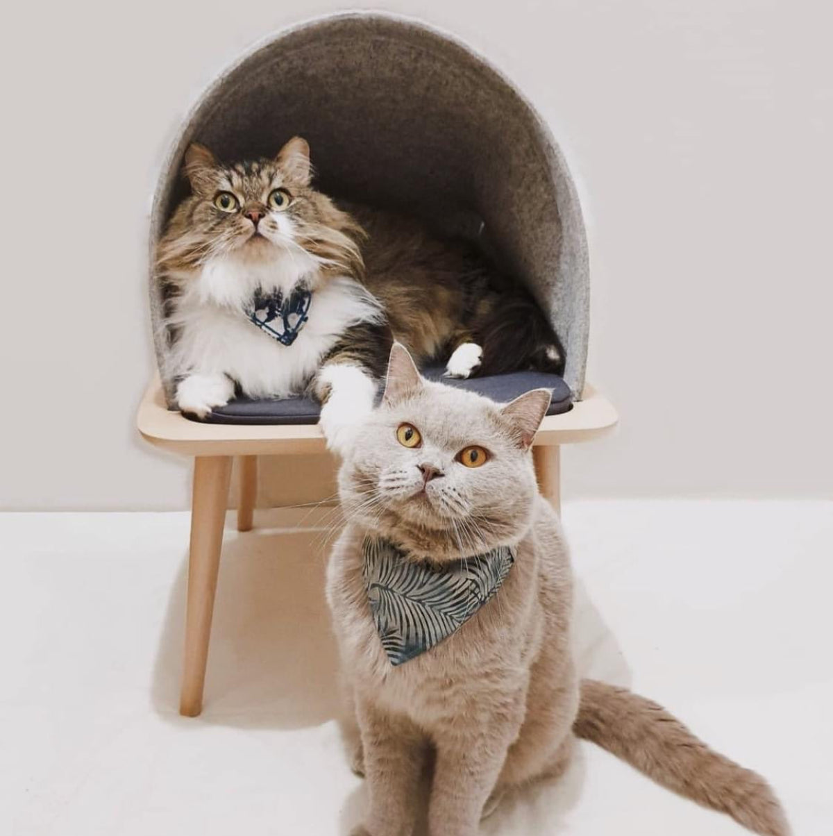Lit pour chat en hauteur - BED - Kasibe