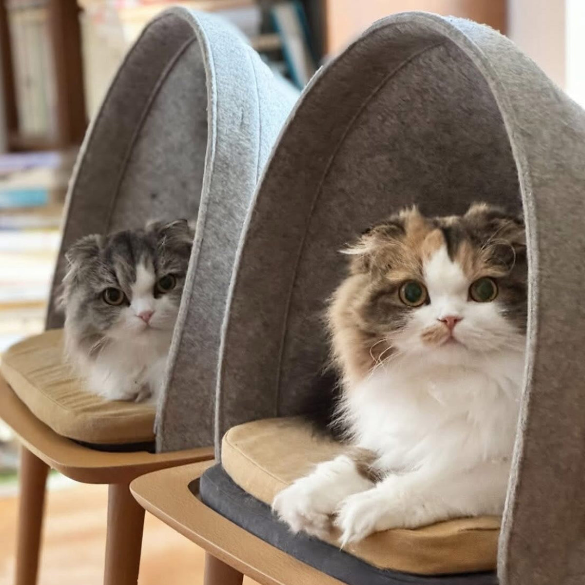 Lit pour chat en hauteur - BED - Kasibe