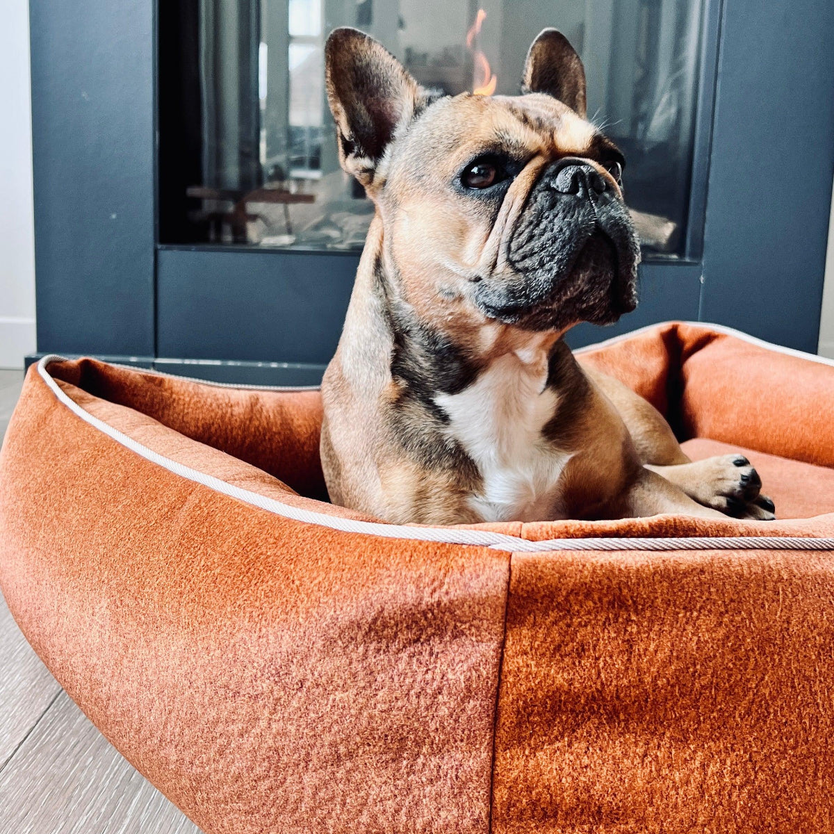 Lit pour chien design - BUFFALO - Kasibe