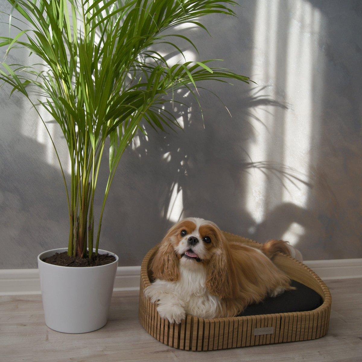 Lit pour chien ou chat en bois massif - HOYA