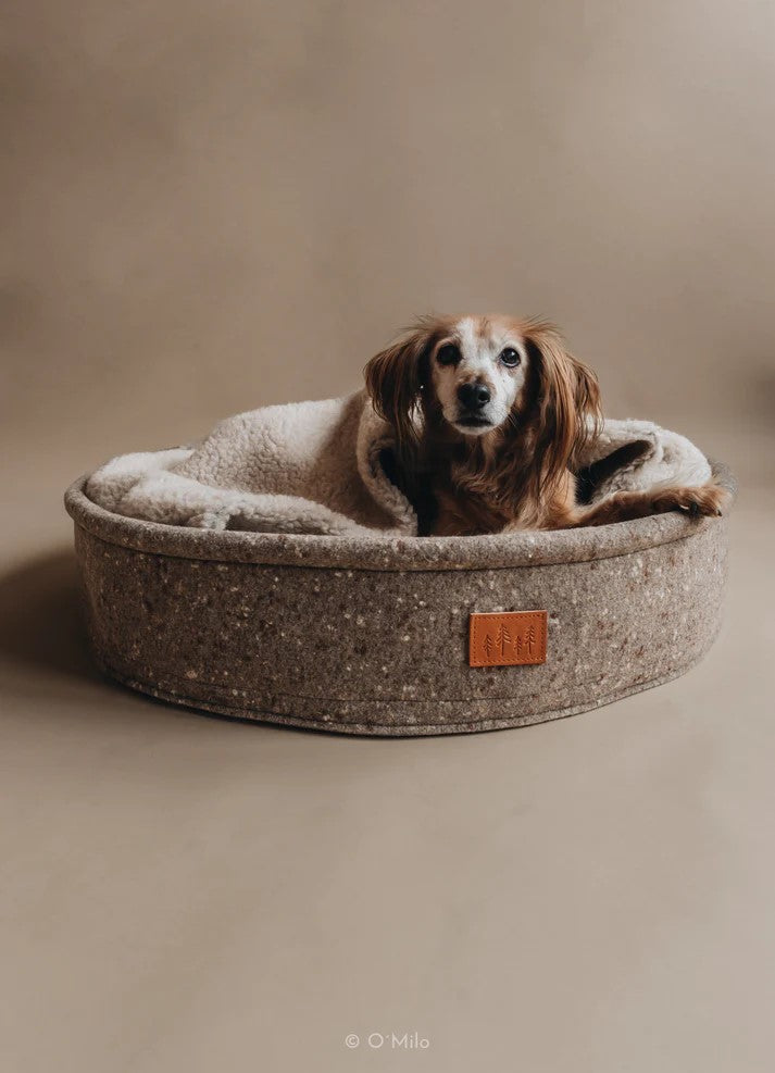 Un lit pour chien véritablement original : Hain et son oreiller à capuche marron - kasibe