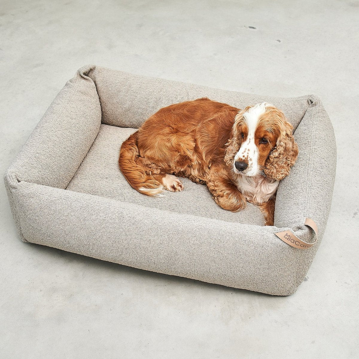 panier pour chien élégant cappucino - kasibe