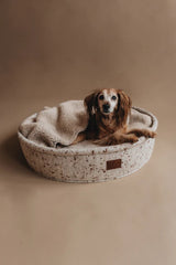 Un lit pour chien véritablement original : Hain et son oreiller à capuche beige - kasibe