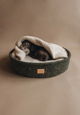 Un lit pour chien véritablement original : Hain et son oreiller à capuche vert - kasibe