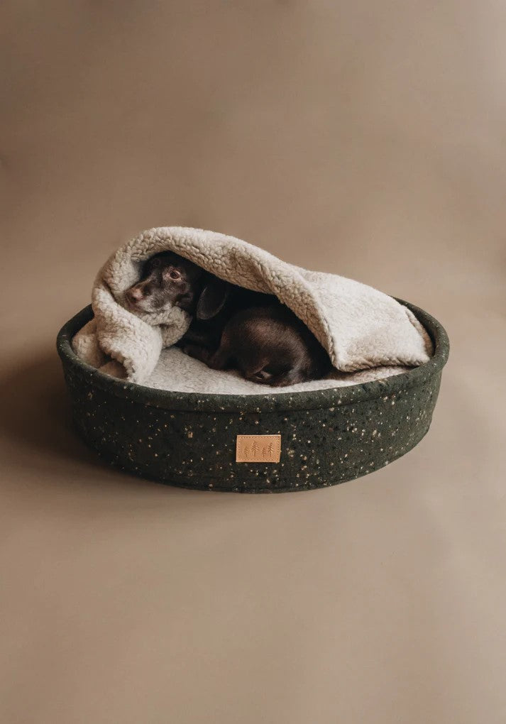 Un lit pour chien véritablement original : Hain et son oreiller à capuche vert - kasibe