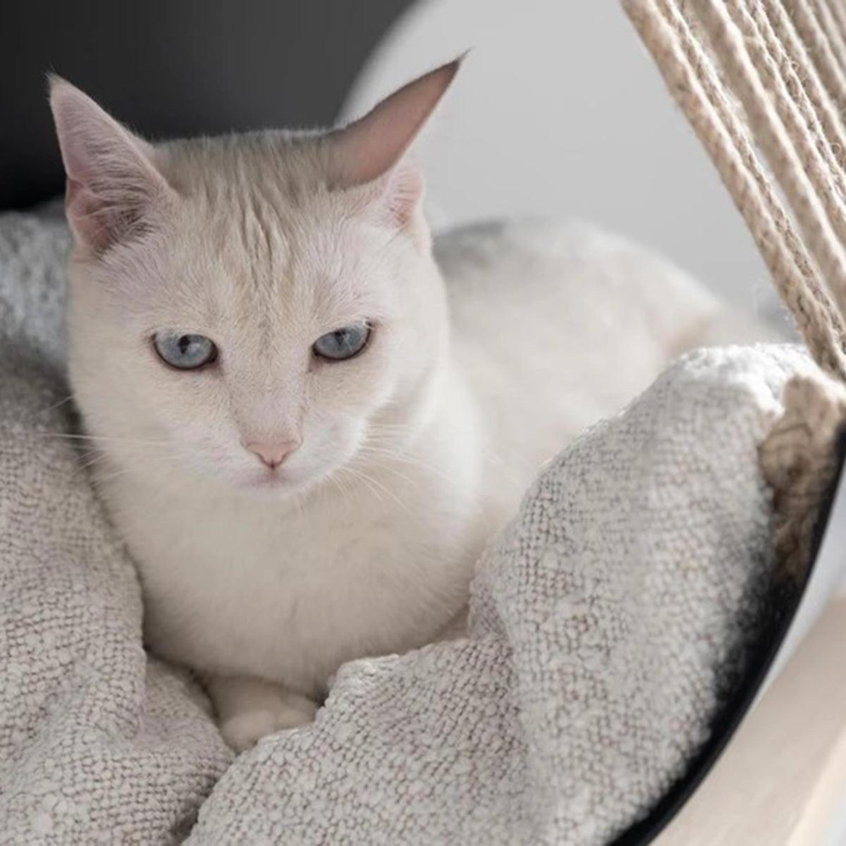 Maison pour chat - TUBO - Kasibe