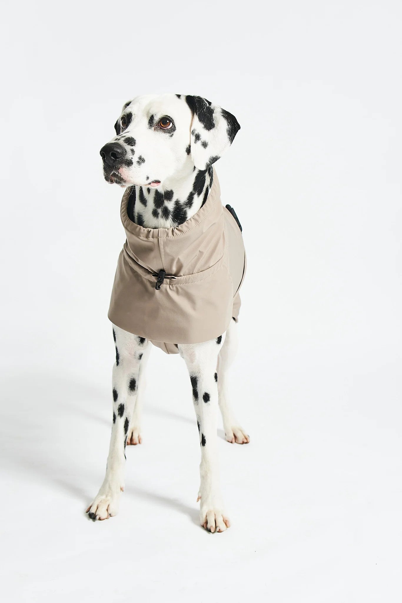 Manteau pour chien imperméable, parfait en cas de pluie : Valentina - kasibe