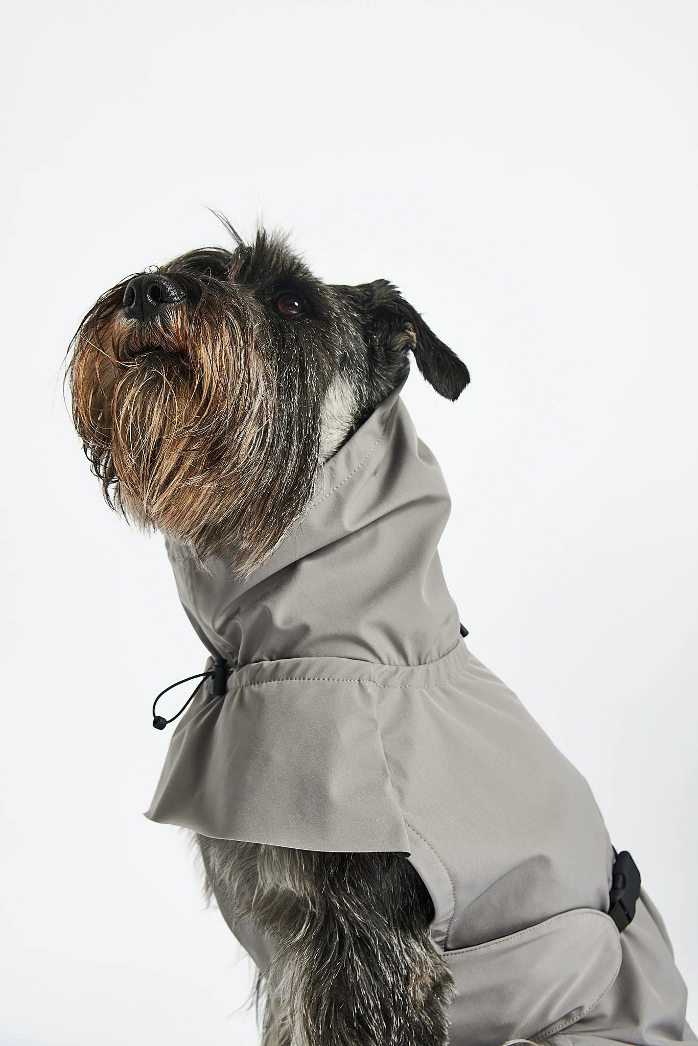 Manteau pour chien imperméable, parfait en cas de pluie : Valentina - kasibe