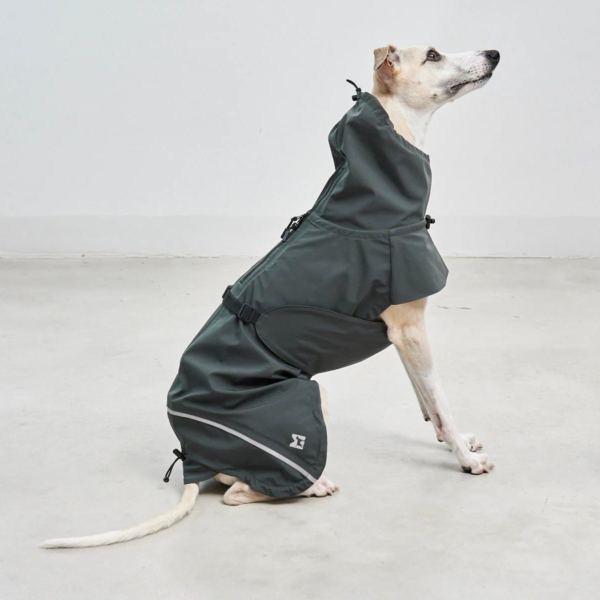 manteau imperméable pour chien vert  kasibe
