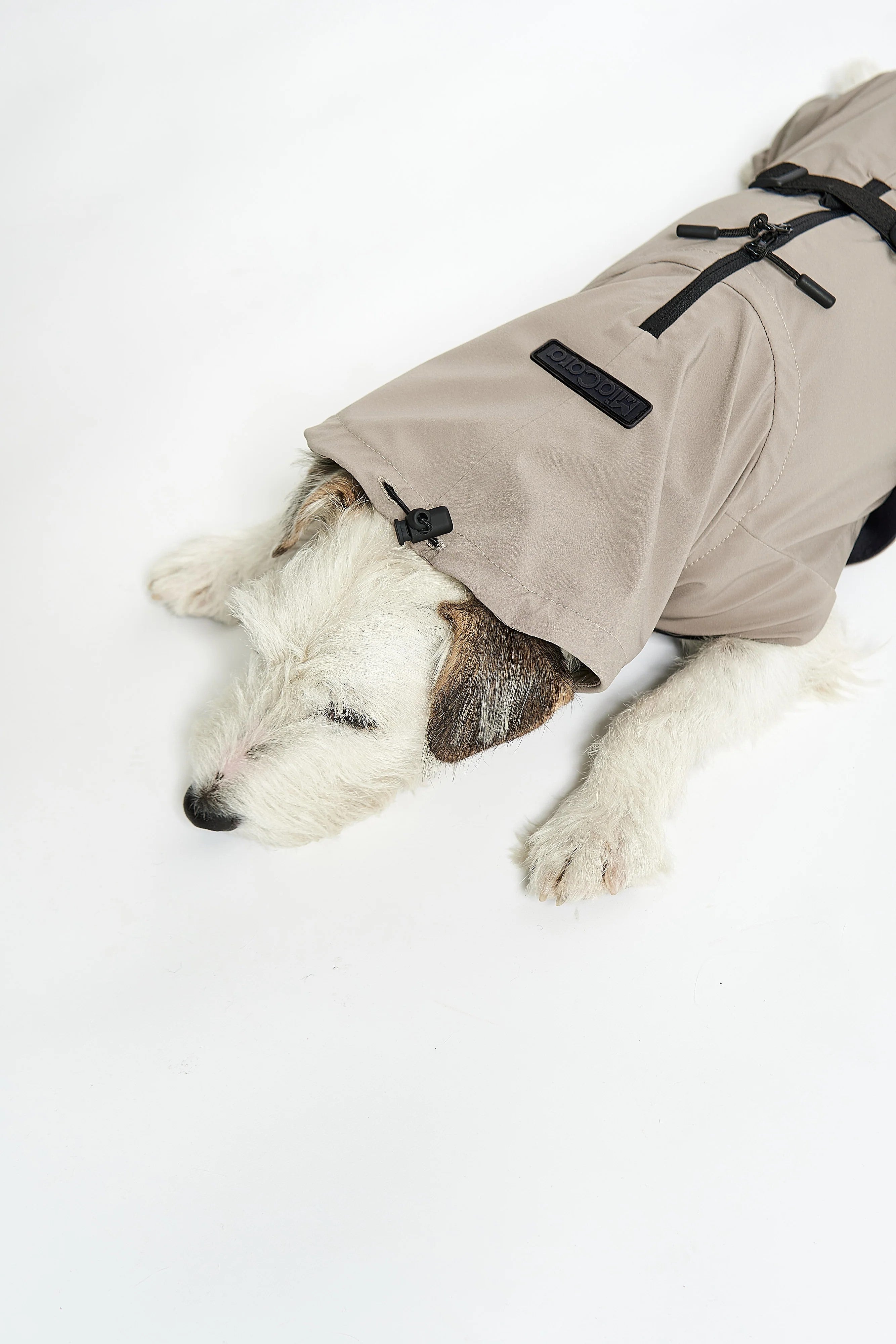 Manteau pour chien imperméable, parfait en cas de pluie : Valentina sable - kasibe