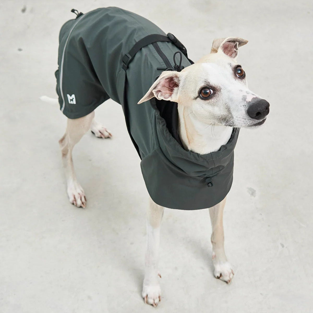 manteau imperméable pour chien vert  kasibe