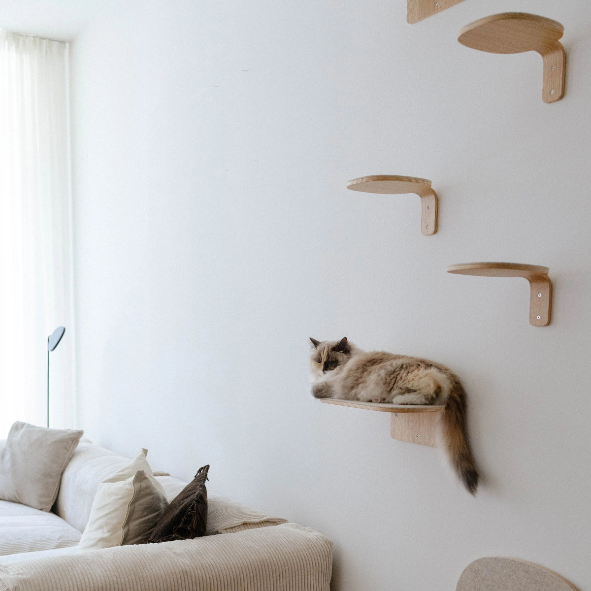 Marche design d'escalade pour chat - kasibe