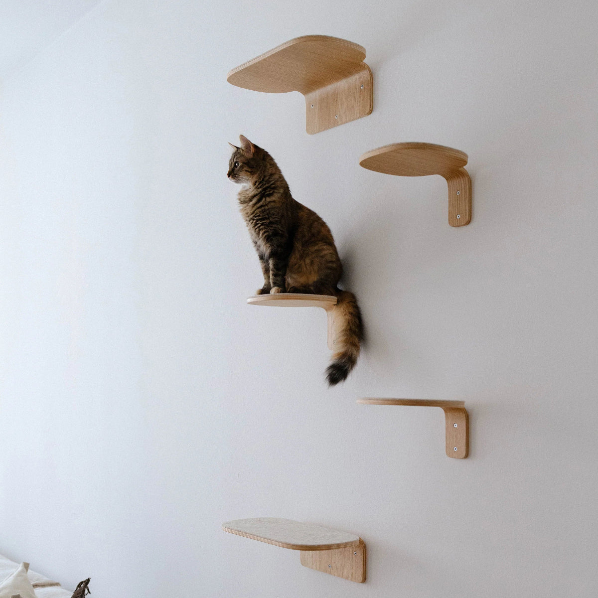 Marche design d'escalade pour chat - kasibe