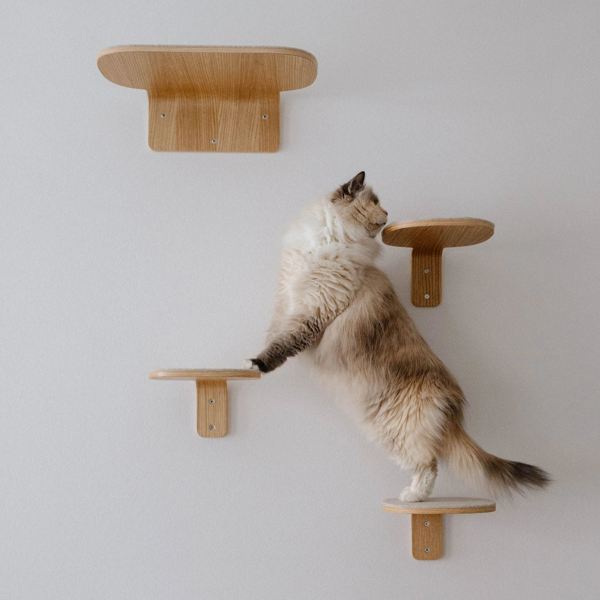 Marche design d'escalade pour chat - kasibe