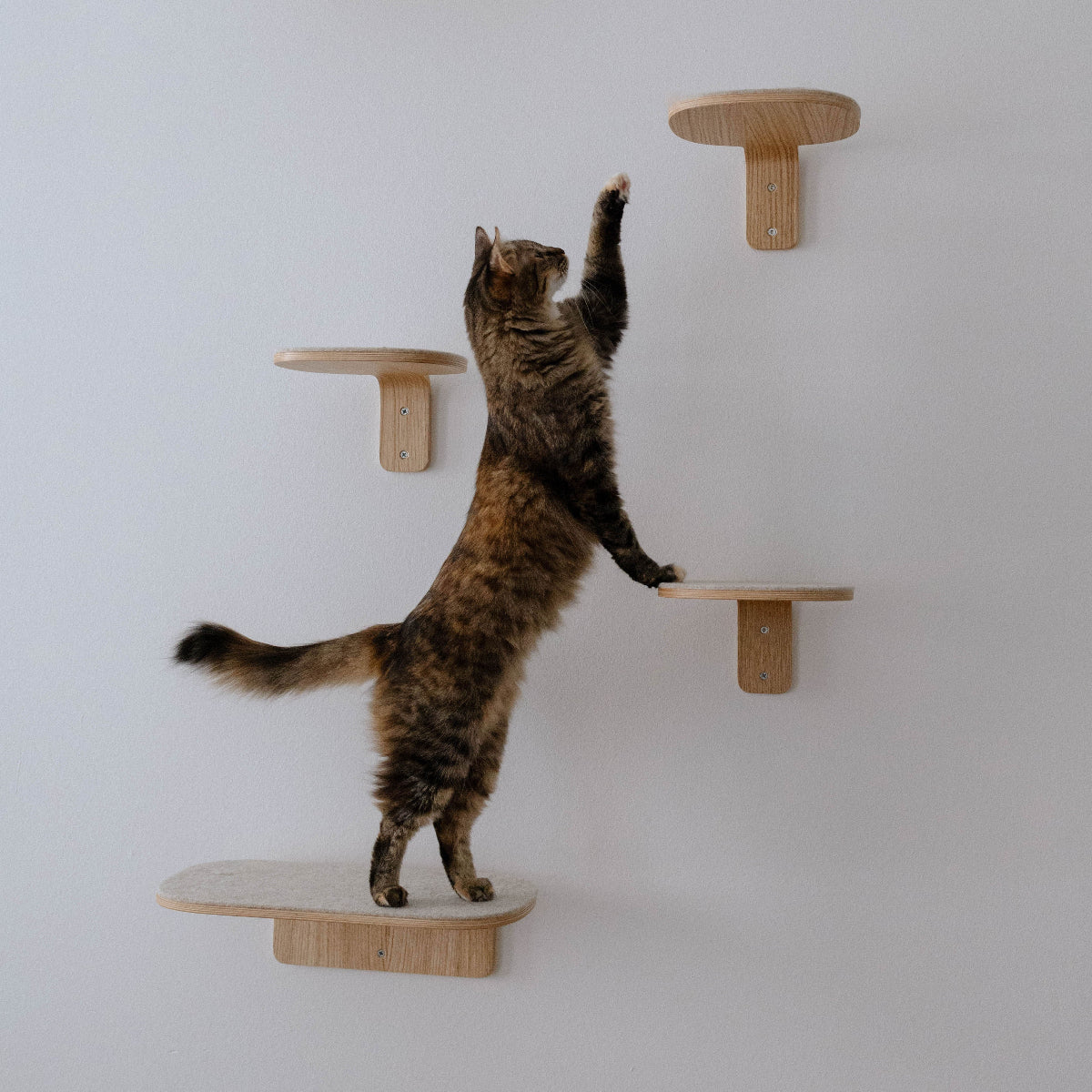 Marche design d'escalade pour chat - kasibe