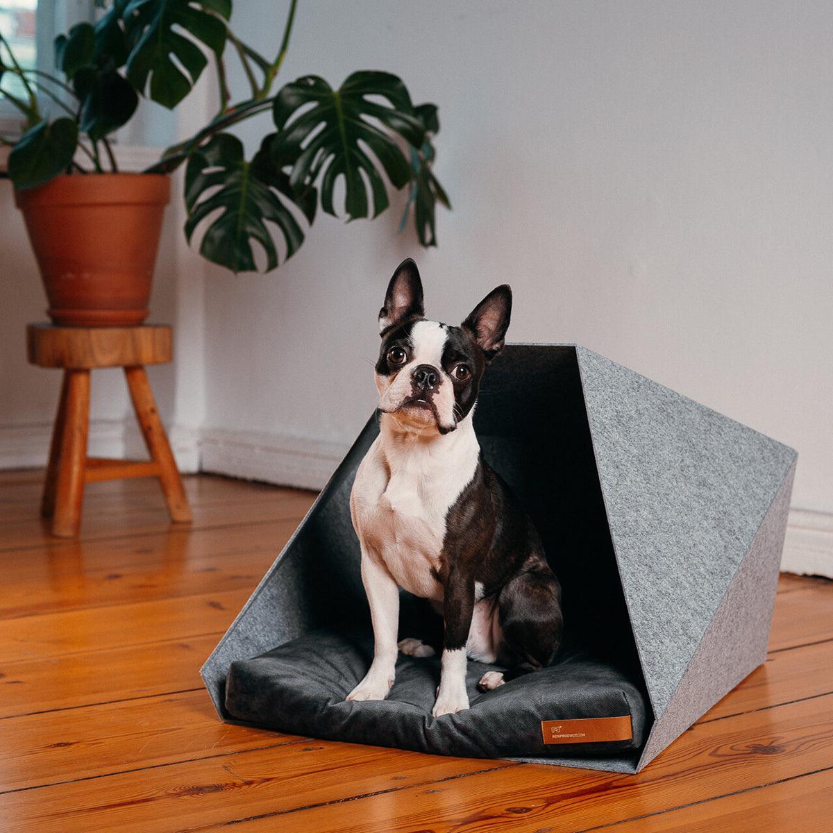 Niche d'intérieur pour chat ou petit chien - PETPOCKET - Kasibe