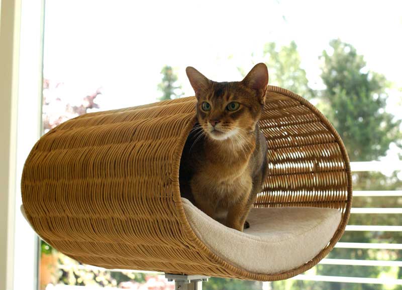 Niche pour chat design en rotin, Rondo, un arbre à chat très sophistiqué - kasibe