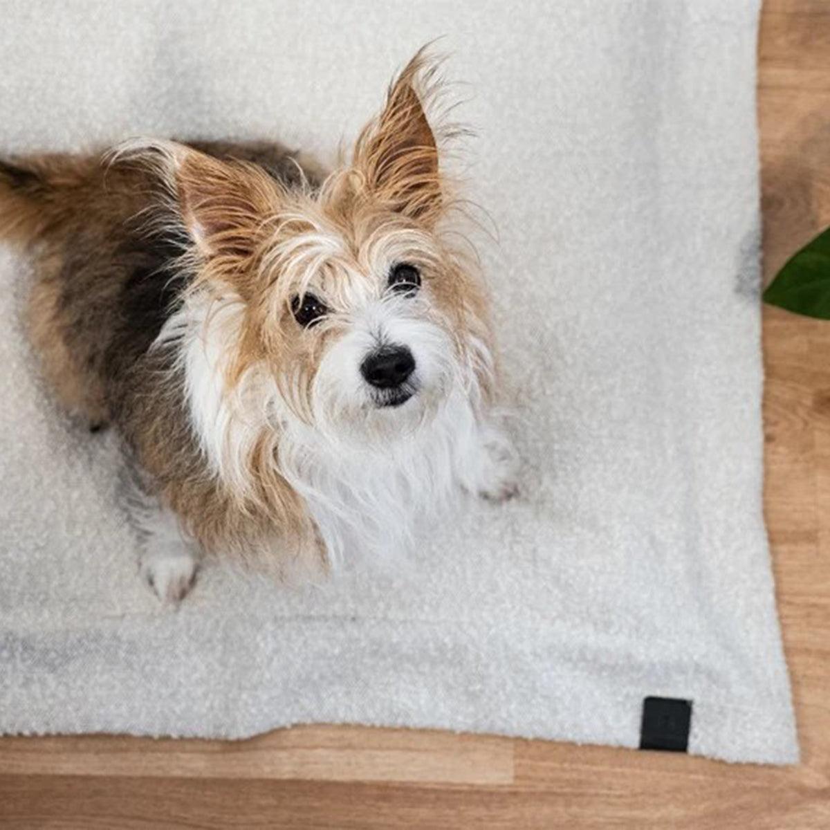 Oreiller pour chien et chat - RAVIOLOS - Kasibe