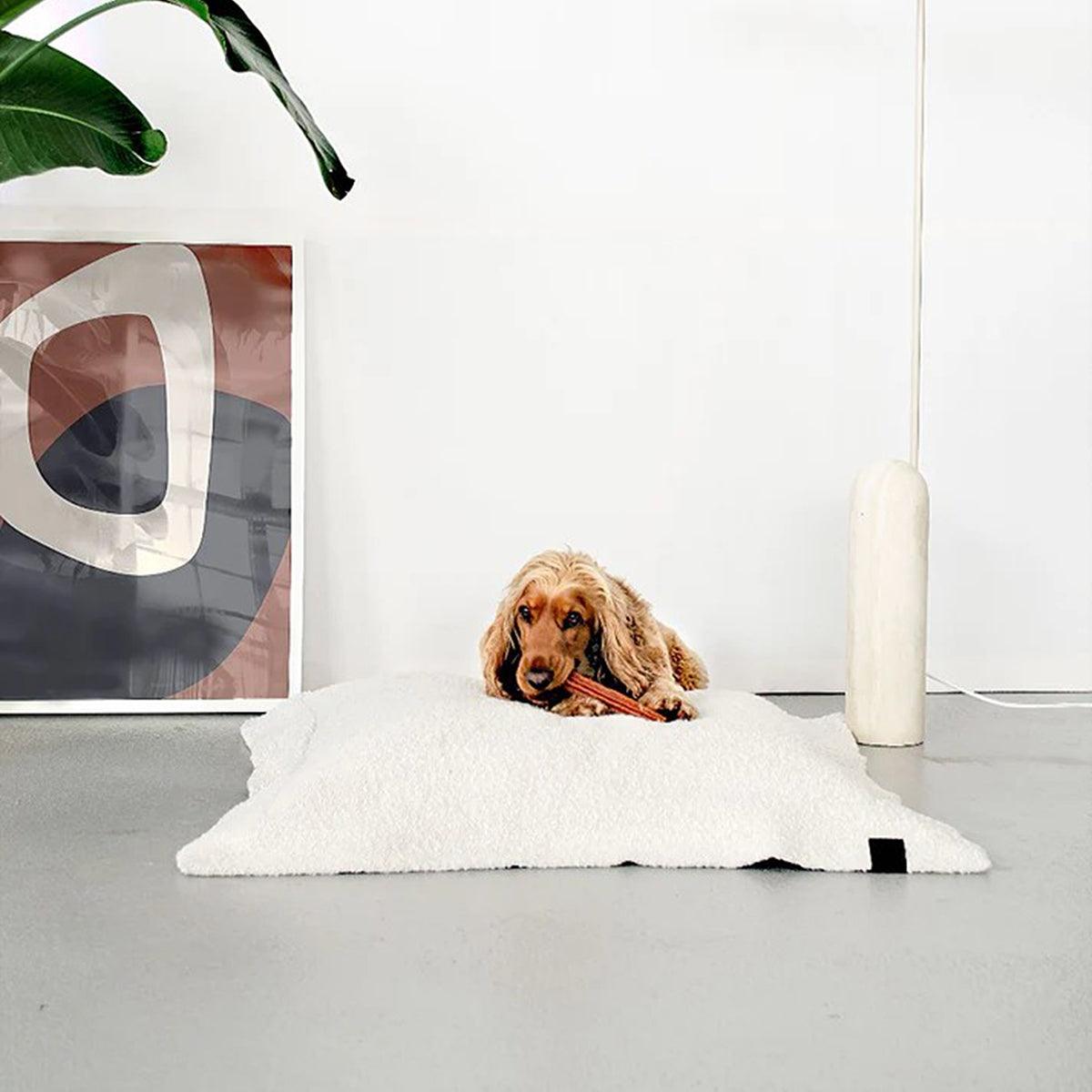Oreiller pour chien et chat - RAVIOLOS - Kasibe