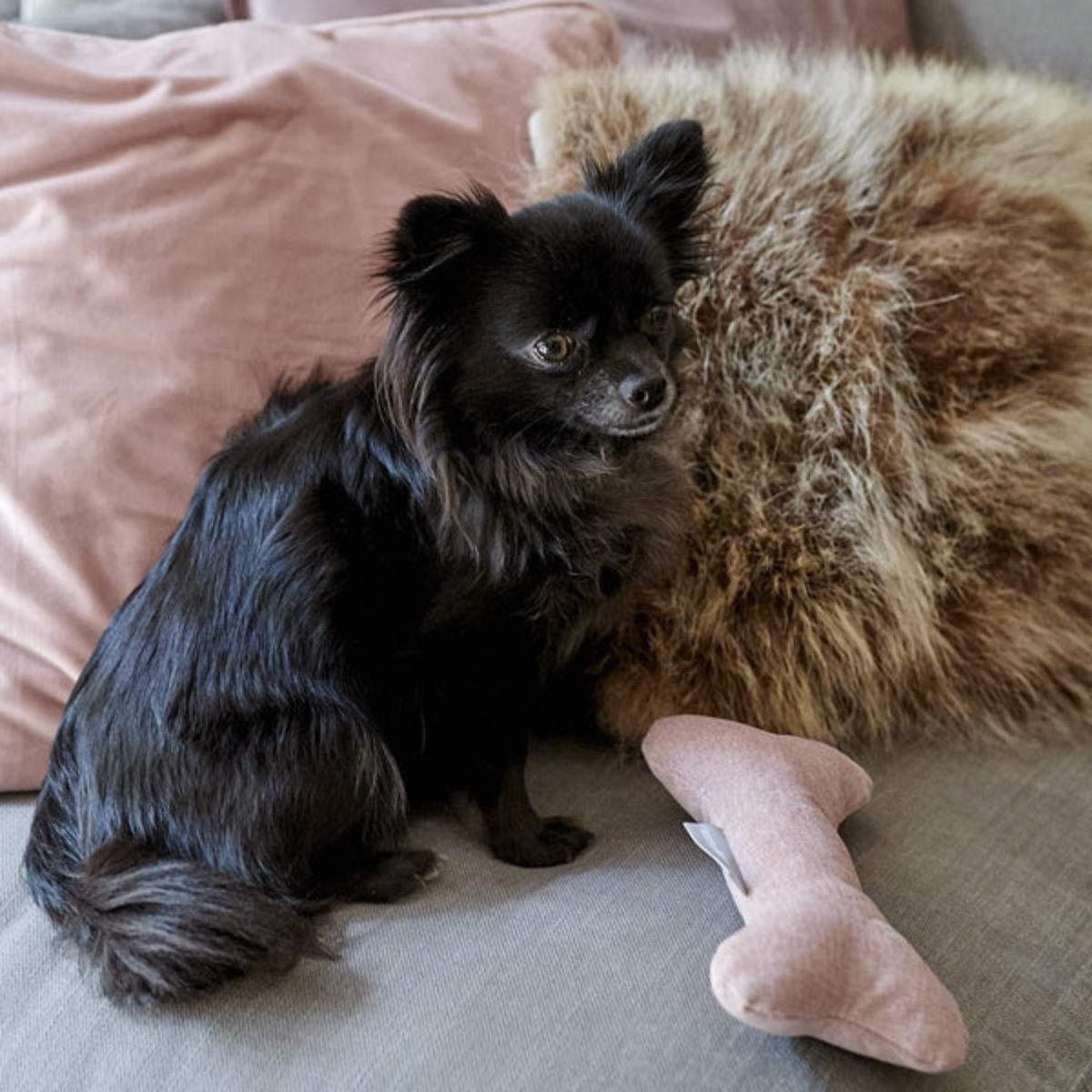 Os pour chien en peluche - WILLIAM PLAY BONE (Lot de 2) - Kasibe