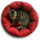 Bloom, un panier apaisant pour votre chat tout en velours rouge - kasibe