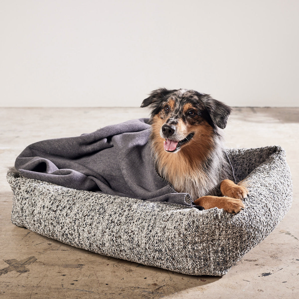 panier pour chien confortable gris - kasibe