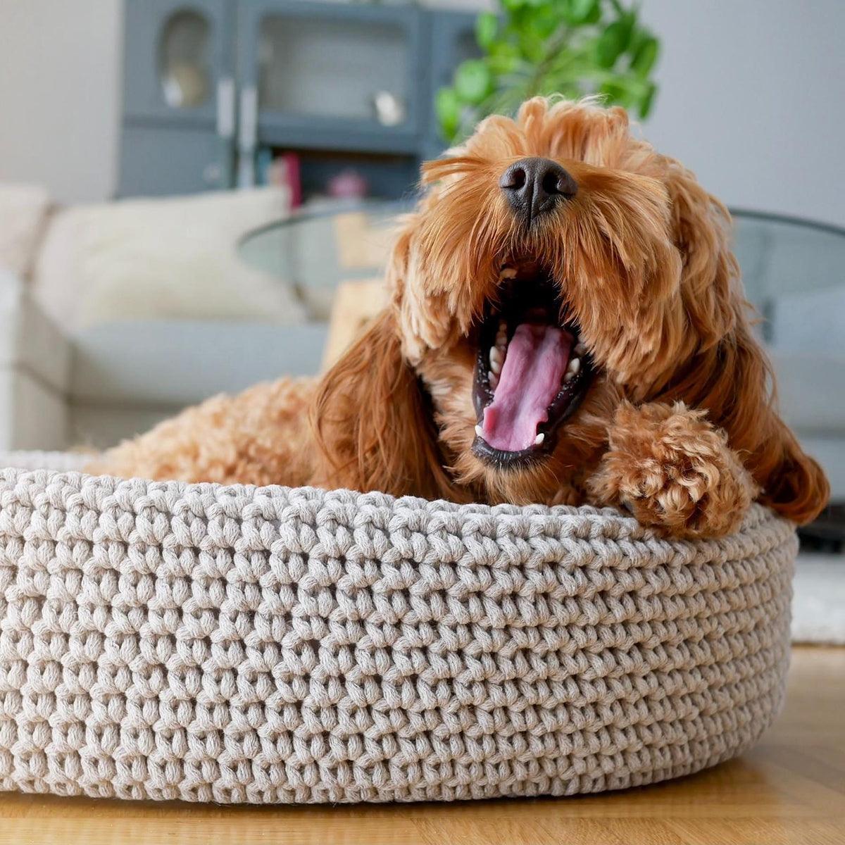 Panier pour chien tressé - kasibe